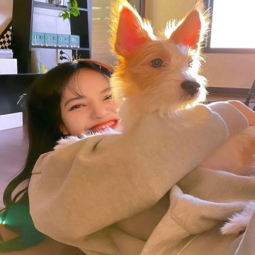 蒋雪儿 - 风夜行(BT VinaHouse Rmx)