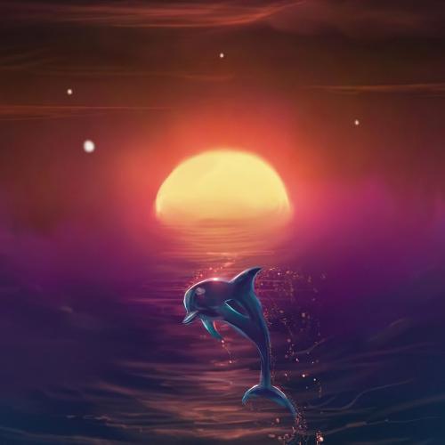 DjWitt-全国语ProgHouse音乐安河桥前奏一响串烧专辑