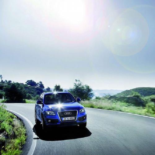 百慕三石 - 小花(DjZGG ProgHouse Rmx)