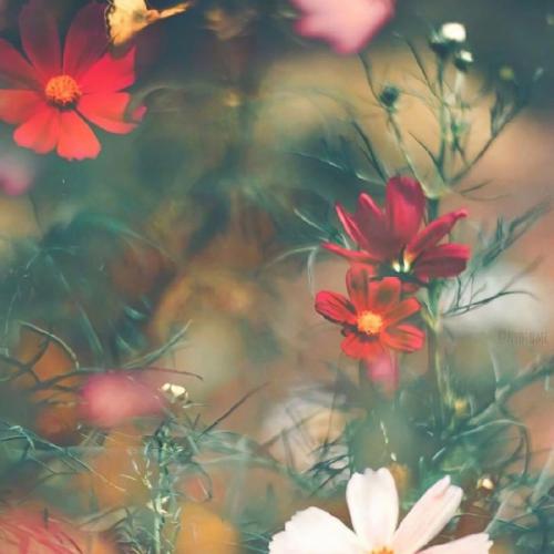 徐秉龙 孤身(文昌DJ衍弟 Electro Mix )