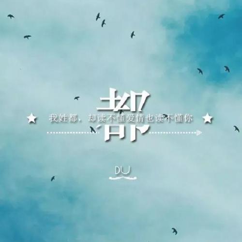 小阿七 - 西楼儿女(DjFeng Electro Rmx)