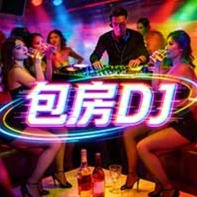 包房dj歌单封面