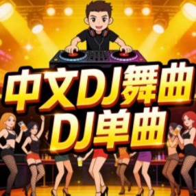 中文dj舞曲歌单封面