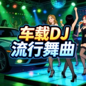 车载dj》歌单封面